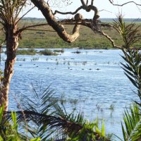 iSimangaliso Wetland Park