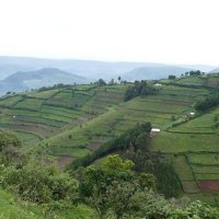 Landwirtschaft im Hochland