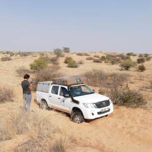 Kgalagadi Transfrontier Park (2016)