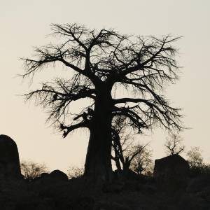 Botswana (2023)